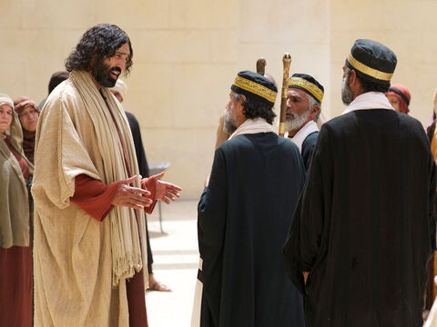 Jésus leur répondit: “Quoique je rende témoignage de moi-même, mon témoignage est vrai, car je sais d’où je suis venu et où je vais. Mais vous, vous ne savez d’où je viens ni où je vais.” – Numéro de diapositive 4