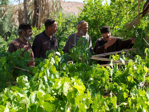 “Les vignerons virent les serviteurs du maître venant récupérer le produit de la récolte.” – Numéro de diapositive 5