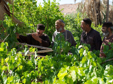 “Les méchants vignerons le virent arriver. ‘Voici l’héritier’, murmurèrent-ils entre eux. ‘Tuons-le, et l’héritage sera à nous’.” – Numéro de diapositive 14