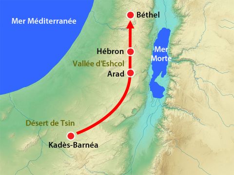 Les douze espions partirent de Kadès-Barnéa par le Désert du Néguev où vivaient les Amalécites, puis se rendirent dans la montagne. – Numéro de diapositive 5