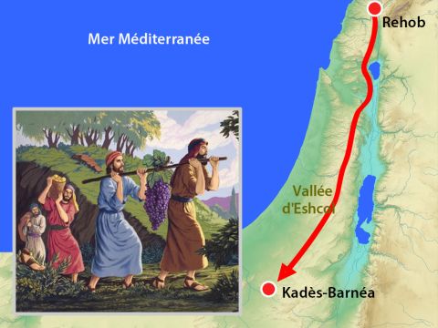 Deux d’entre eux la portèrent au moyen d’une perche. Ils prirent aussi des grenades et des figues. – Numéro de diapositive 11