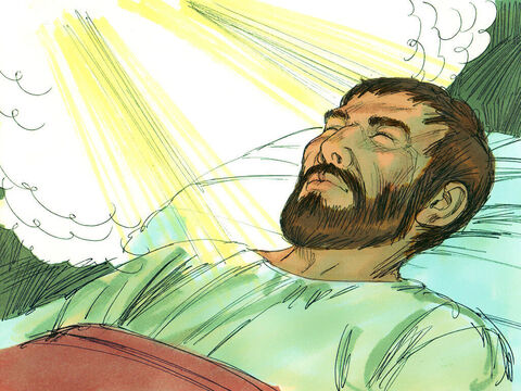Le Seigneur dit à Paul dans une vision pendant la nuit: "N’aie pas peur, mais parle et ne te tais pas, car je suis moi-même avec toi et personne ne s’attaquera à toi pour te faire du mal. En effet, j'ai un peuple nombreux dans cette ville". – Numéro de diapositive 8