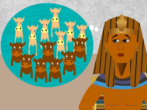 Pharaon avait fait deux rêves. Dans le premier rêve, il avait vu 7 grosses vaches sortir de la rivière et manger de l'herbe dans la prairie. Mais, ensuite, il a vu 7 vaches maigres sortir de la rivière et manger les 7 grosses vaches. – Numéro de diapositive 9