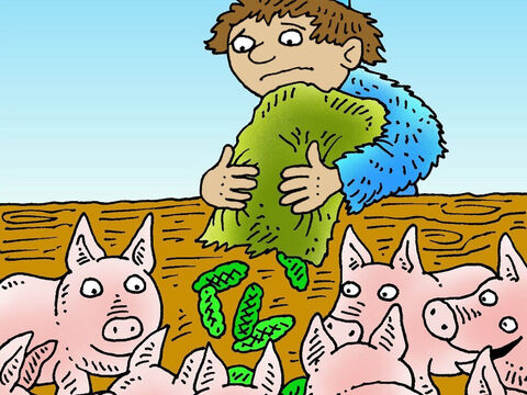 Il a été forcé de chercher un emploi, mais le seul emploi qu'il a pu trouver était de s'occuper des cochons. – Numéro de diapositive 6