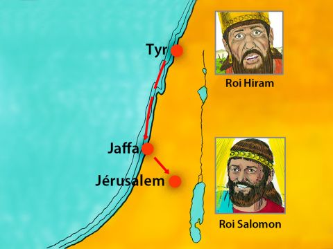 Lorsque Salomon devint roi, il acheta du bois précieux au roi Hiram de Tyr. Au Liban, 30.000 travailleurs furent enrôlés pour travailler par équipes successives et couper des arbres. De gros cèdres et des cyprès furent ensuite convoyés par flottaison le long de la côte jusqu'à Japho. – Numéro de diapositive 3