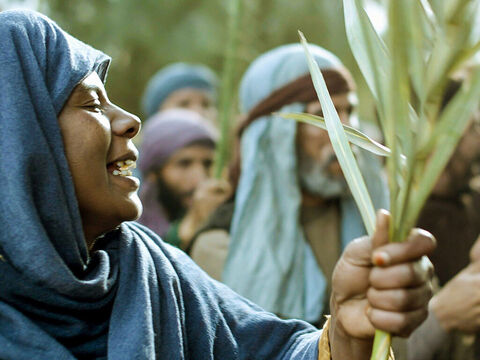 Beaucoup criaient: “Hosanna dans les lieux très hauts!” – Numéro de diapositive 13