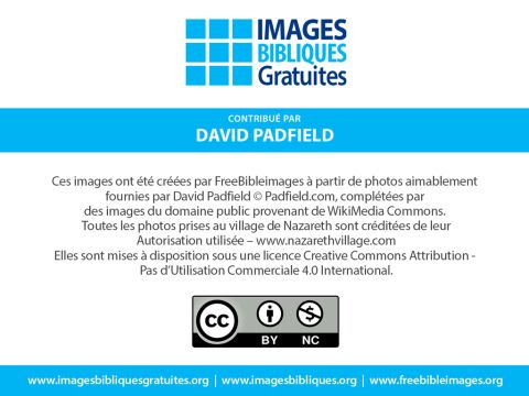 Numéro de diapositive 24