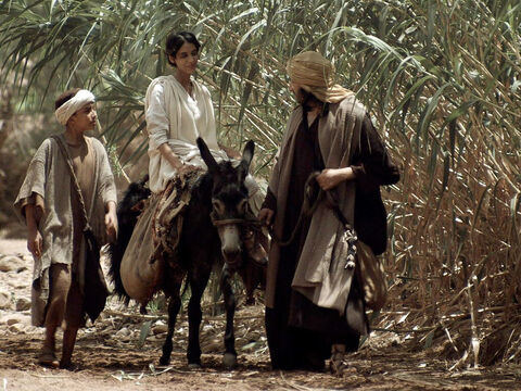 Jésus retourna à Nazareth avec ses parents, et il leur obéissait. Marie gardait toutes ces choses dans son cœur. Et Jésus croissait en sagesse, en stature et en grâce, devant Dieu et devant les hommes. – Numéro de diapositive 15